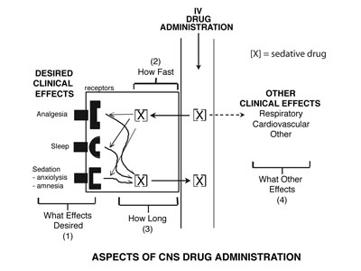 Aspects of CNS Drug Administration figure