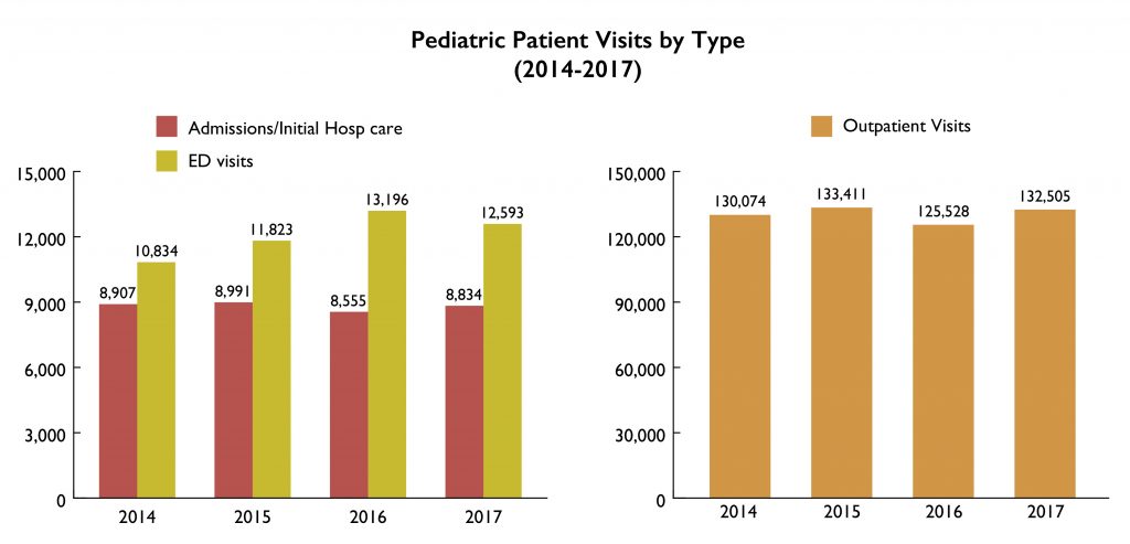 Pediatric Patient Visits by Type 2017